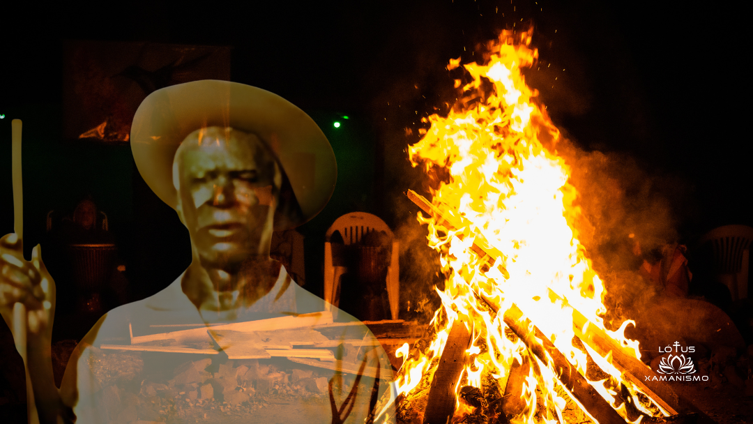 fogueira mestre